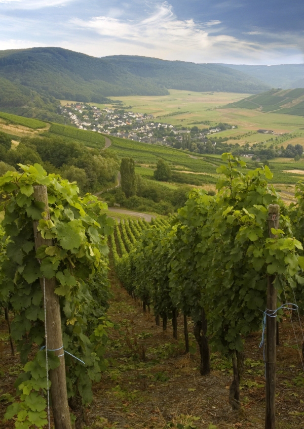 Vineyards and mountain villages in the Hunsruck region of South Western Germany