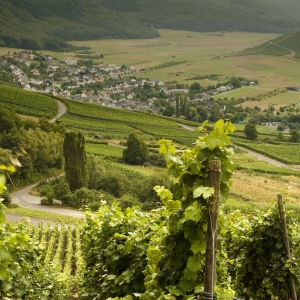 German vineyard village in the Hunsruck region of South Western Germany