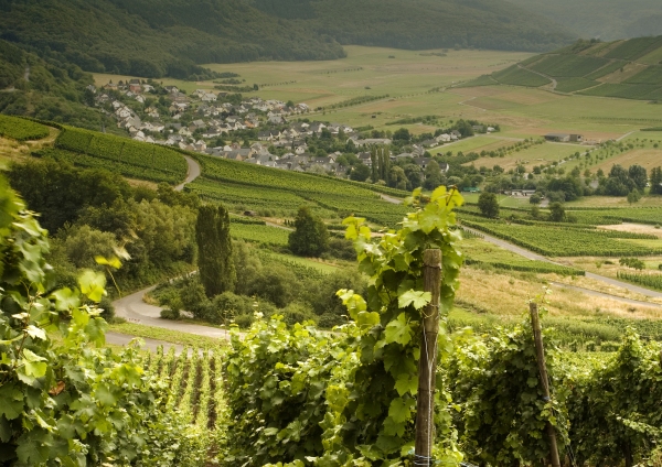 German vineyard village in the Hunsruck region of South Western Germany