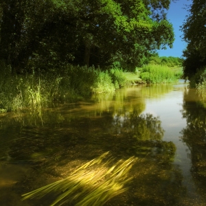 An English chalk stream