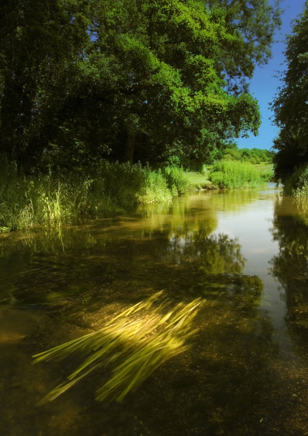 An English chalk stream