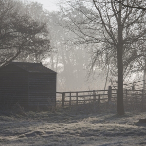 A winter morning frosty sunrise