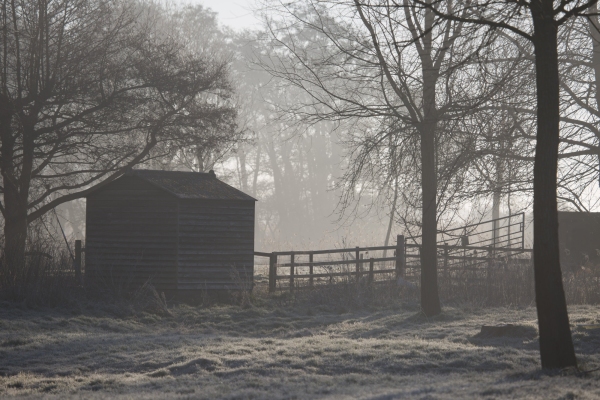 A winter morning frosty sunrise