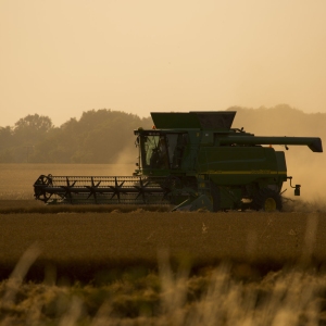 A harvester harvesting wheat on a summer's evening just before sunset