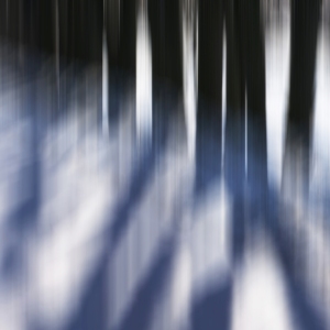 Blurred trees in winter background image