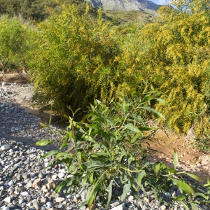 A dry river bed in Southern Spain