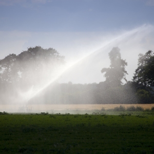 Arable crop irrigation in summer