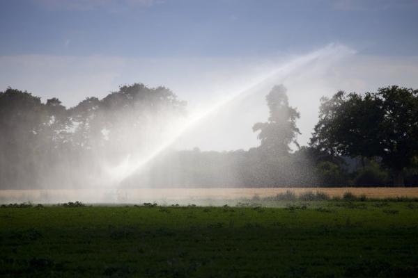 Arable crop irrigation in summer