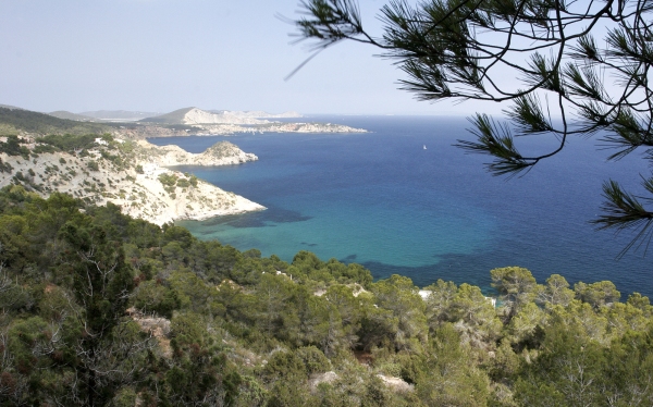 A beautiful view across the Ibiza coastline with coniferous woodland in the foreground