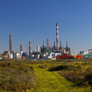 A petrochemicals/plastics manufacturing plant surrounded by a wilderness area