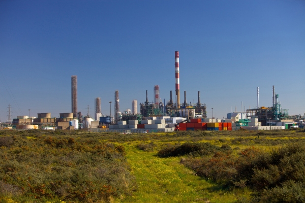 A petrochemicals/plastics manufacturing plant surrounded by a wilderness area