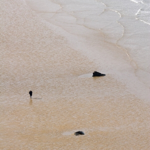 Solitary walker along a large sandy beach at low tide