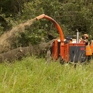 Foresters cutting up a fallen tree and making wood chippings with a shredder machine