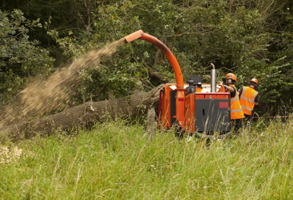 Foresters cutting up a fallen tree and making wood chippings with a shredder machine