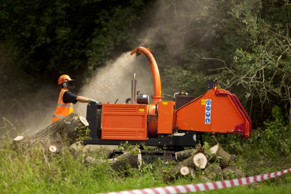 A forestry worker shredding branches and leaves in a shredder