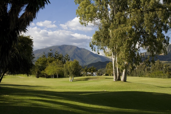 Spanish golf course with bunkers in Puerto Banus