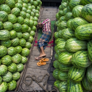 Laborers at a wholesale fruit market in unload fresh watermelons from boats in Buriganga River in waizghat area, Dhaka, Bangladesh on April 17, 2018