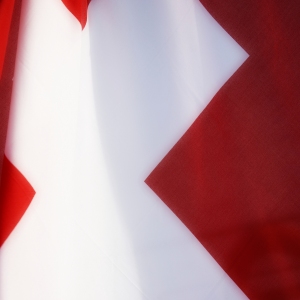 The Swiss flag