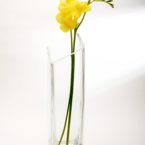 A yellow freesia flower in a glass vase