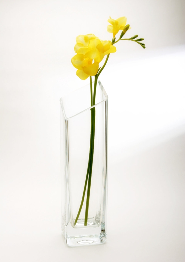 A yellow freesia flower in a glass vase