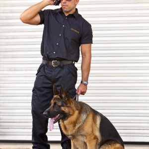 Security guard with German Shepherd guard dog