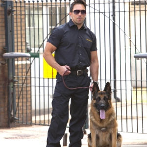 Security guard with German Shepherd guard dog in front of security gates