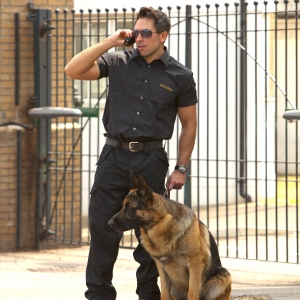 A security guard standing in front of gates with German Shepherd guard dog