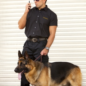 A security guard with German Shepherd guard dog in front of a roller shutter security door