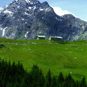 Shepherds' huts and hay barns in the high Italian alps