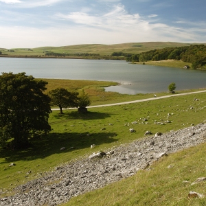 Malham Tarn in the Yorkshire Dales on a sunny day