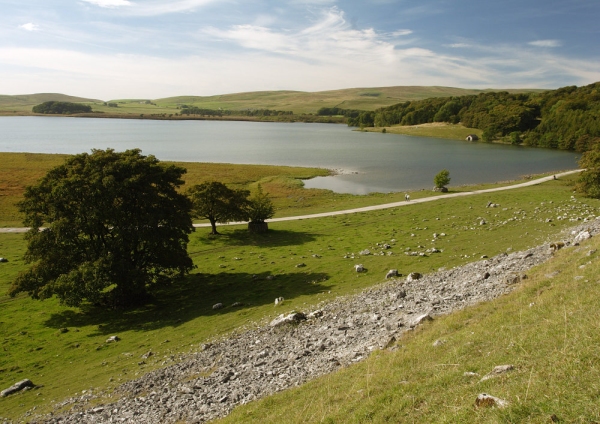 Malham Tarn in the Yorkshire Dales on a sunny day