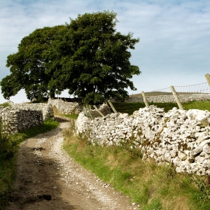 A farm track in the Yorkshire Dales National Park