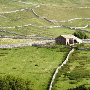 Hill farming in the Yorkshire Dales National Park