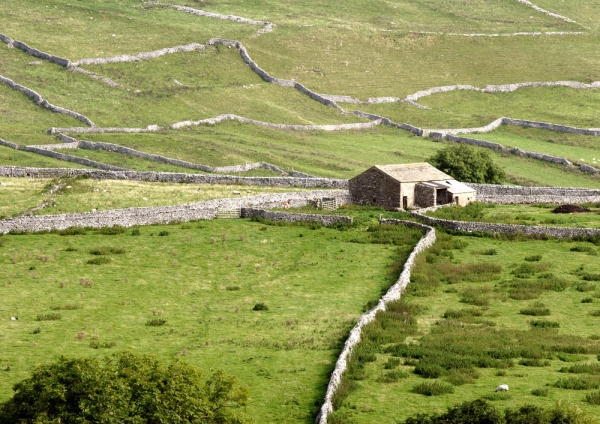 Hill farming in the Yorkshire Dales National Park