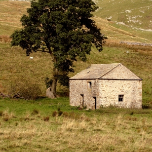 A stone barn in the Yorkshire Dales National Park