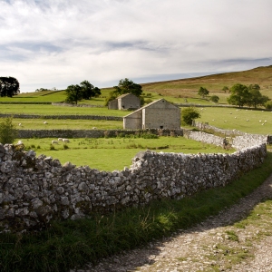 Stone walls and hill farms in the Yorkshire Dales National Park