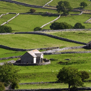 Stone walls and stone barns on a Yorkshire Dales hill farm