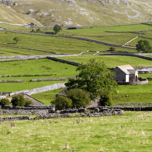 A Yorkshire Dales hill farm