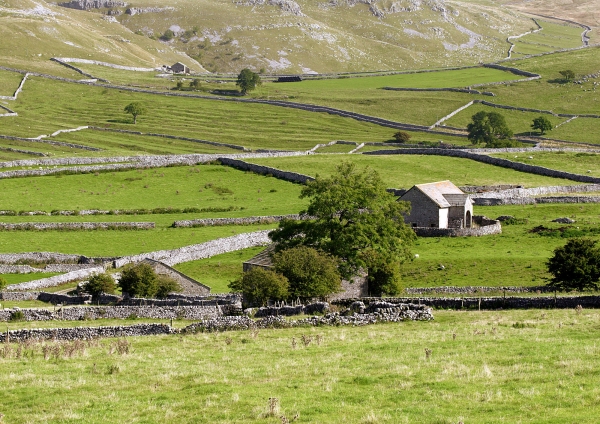 A Yorkshire Dales hill farm