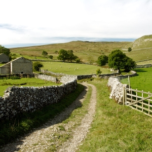 A farm track on a Yorkshire Dales hill farm