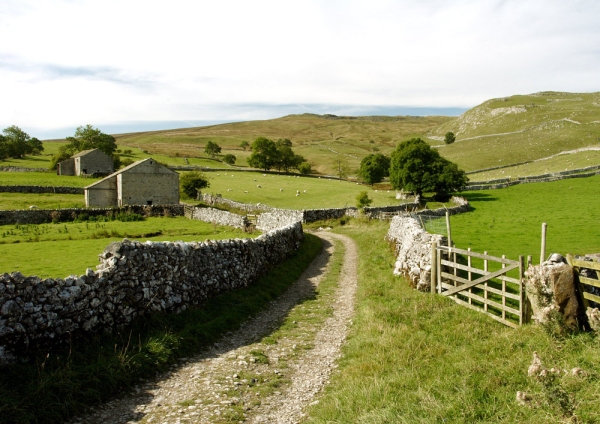 A farm track on a Yorkshire Dales hill farm