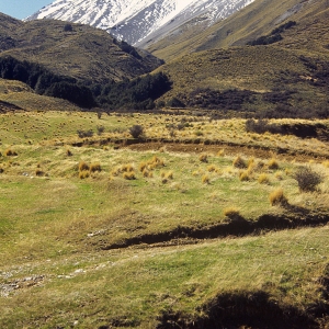 A New Zealand mountain landscape