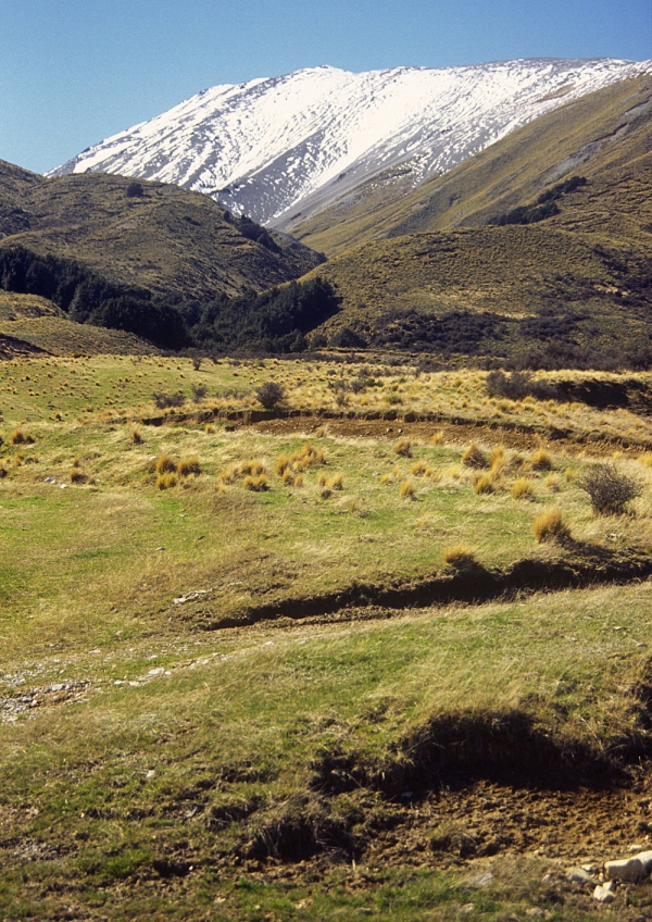 A New Zealand mountain landscape