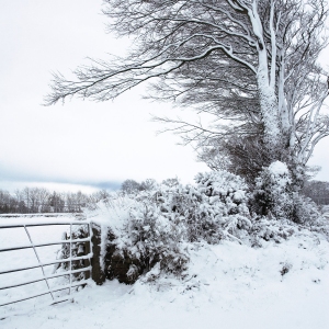 A winter snow covered landscape