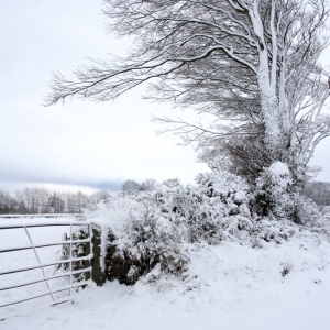 A snow covered winter landscape after a blizzard