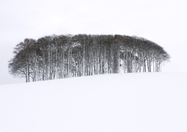 A winter wood on a distant snow covered hillside