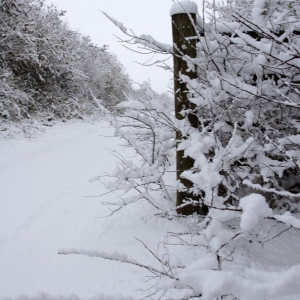 A snow covered country road