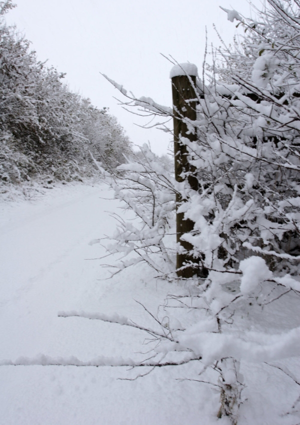 A snow covered country road