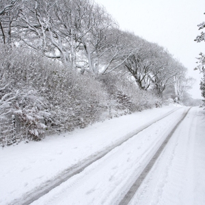 vehicle tracks on a snow covered country road