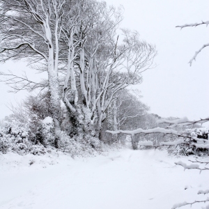 Snow covered road in a winter landscape